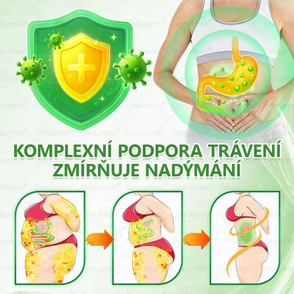 ✅️GeeLemon® 10v1 Nano Mikr jehličková Hubnoucí Náplast 🌿 Berberin + Moringa + NAD+ formule pro přirozenou podporu metabolismu a kontrolu tělesné hmotnosti | Jednoduché použití pouze 1× denně